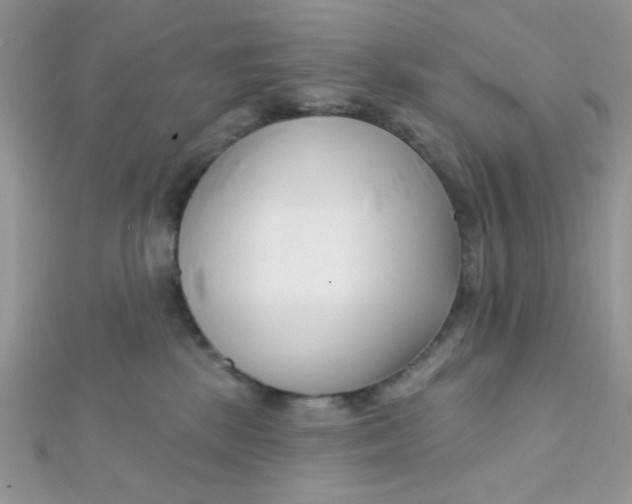 X0000112390281200909032020