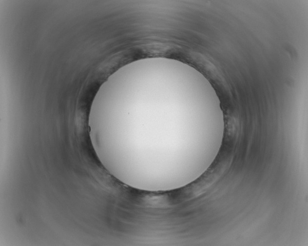 X0000112390283200909032020