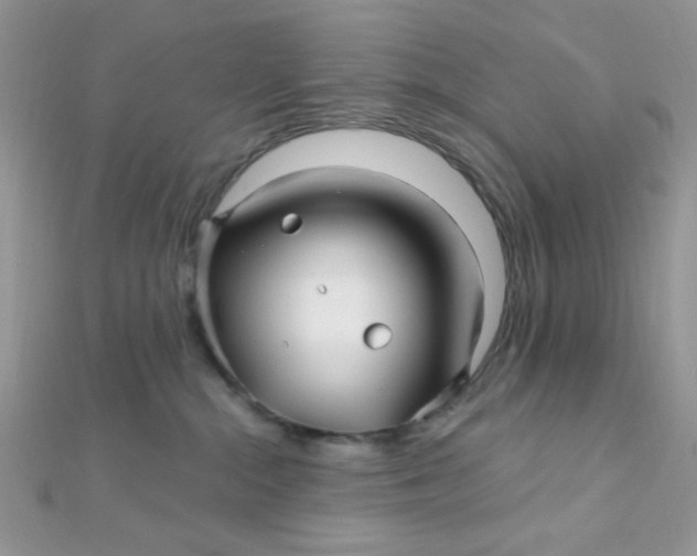 X0000112390284200909032020