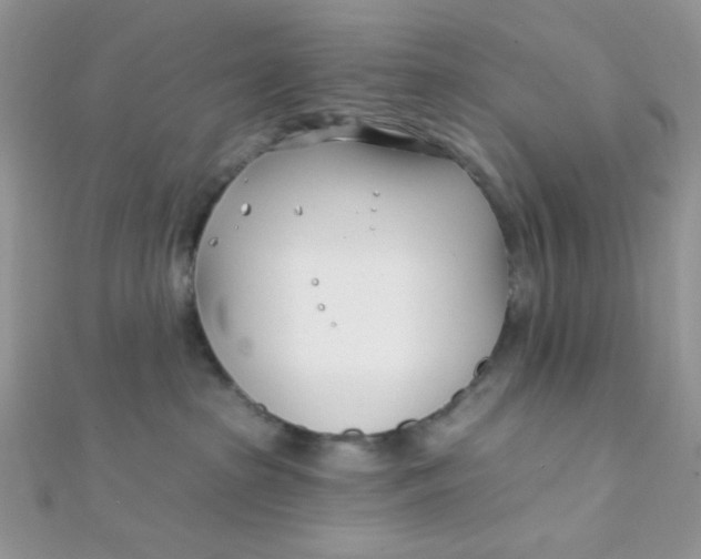 X0000112390285200909032020