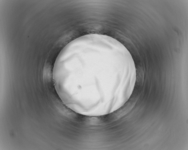 X0000112390287200909032020