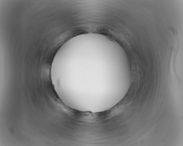X0000112390288200909032020