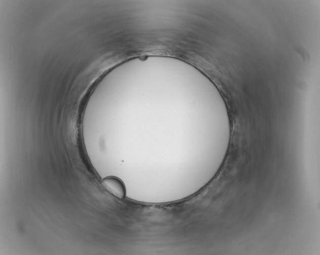 X0000112390290200909032019