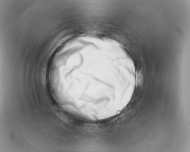 X0000112390291200909032019