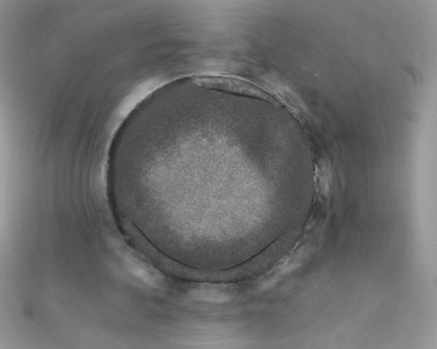 X0000112390292200909032019