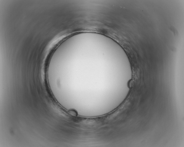 X0000112390294200909032019
