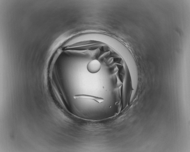 X0000112390296200909032019