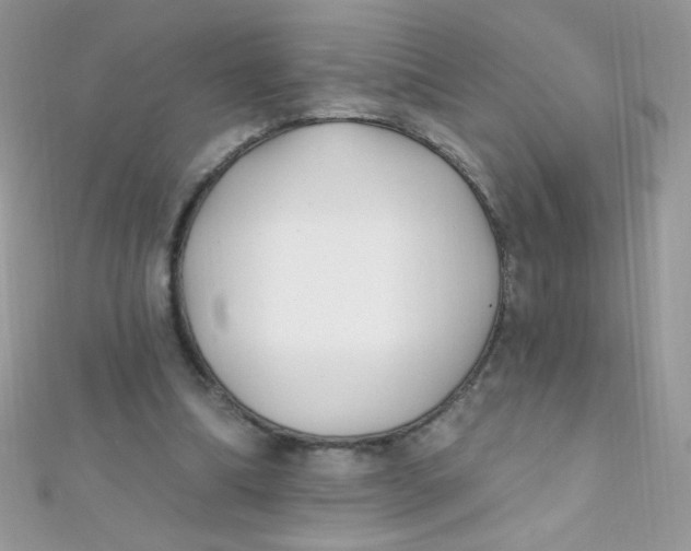 X0000112390298200909032019