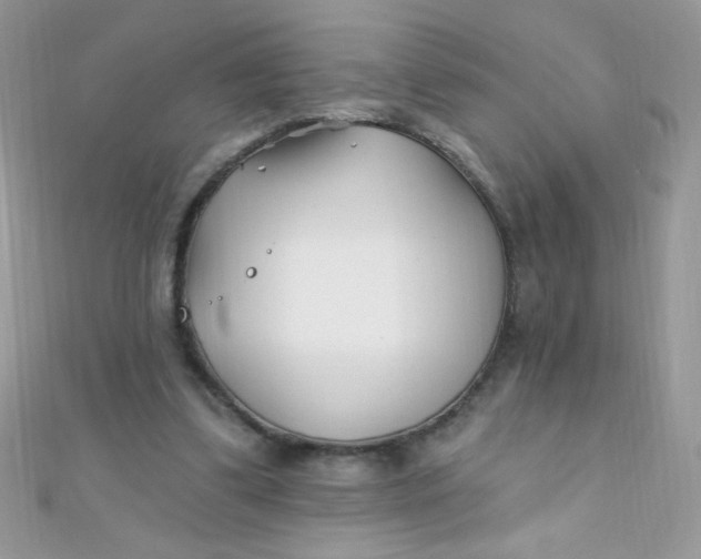 X0000112390299200909032019