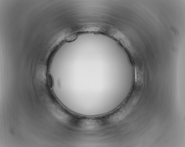 X0000112390300200909032019