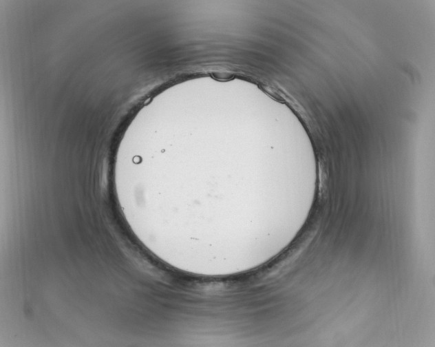 X0000112390301200909032019
