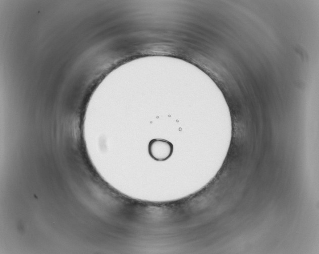 X0000112390302200909032019