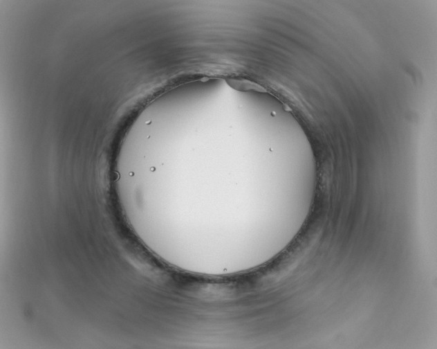 X0000112390303200909032019