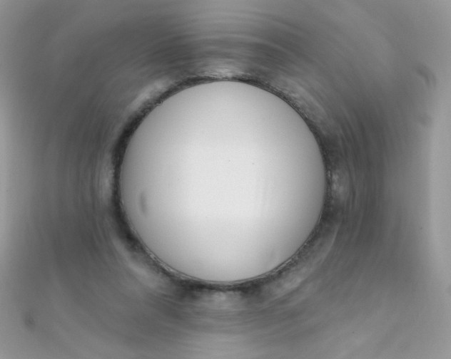 X0000112390304200909032019