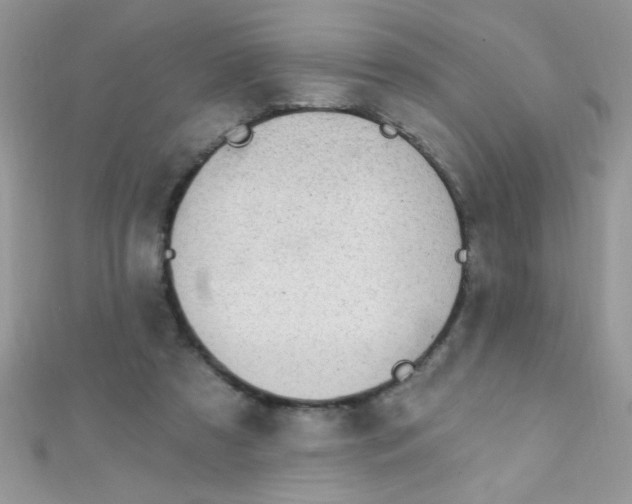 X0000112390305200909032019