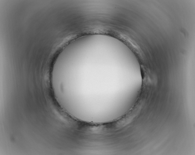 X0000112390306200909032019