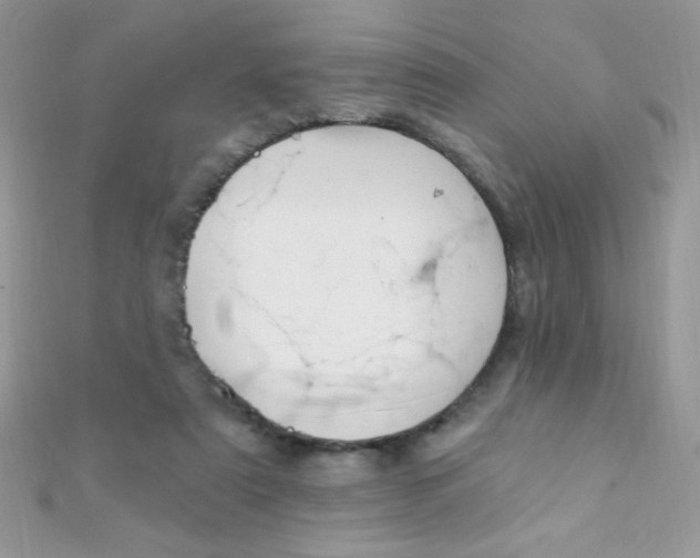 X0000112390307200909032019