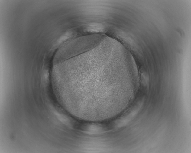 X0000112390308200909032019