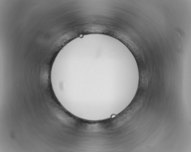 X0000112390309200909032019