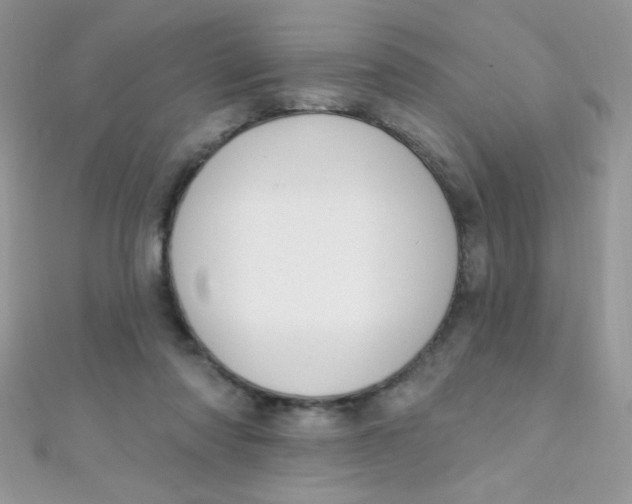 X0000112390310200909032019