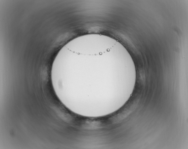 X0000112390311200909032019
