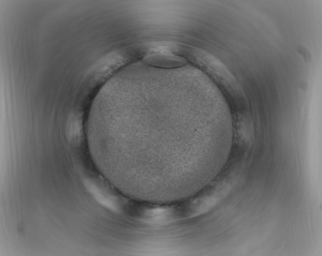 X0000112390312200909032019