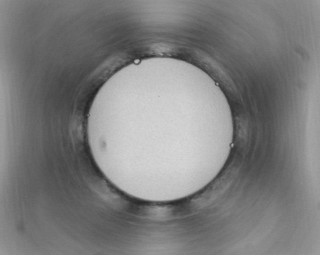 X0000112390313200909032019