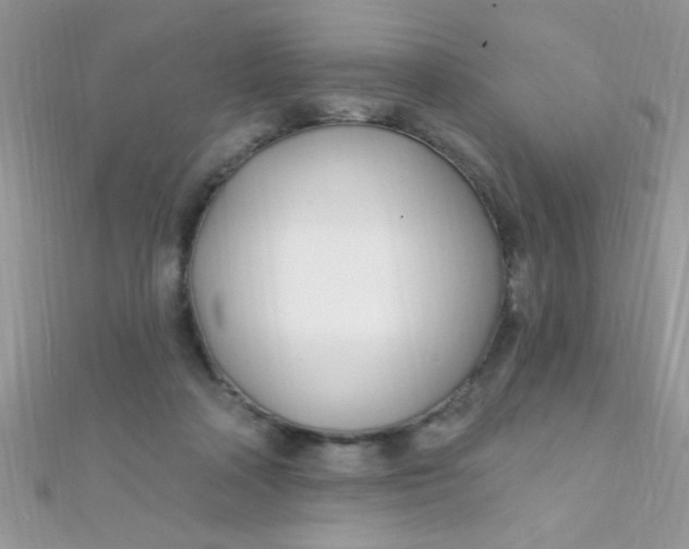 X0000112390314200909032019