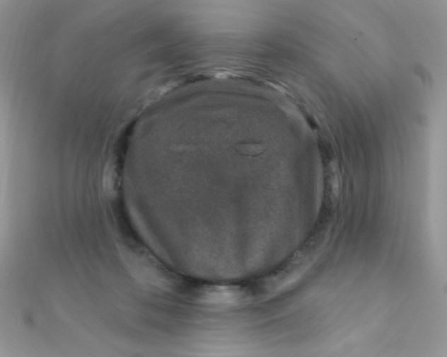 X0000112390316200909032019