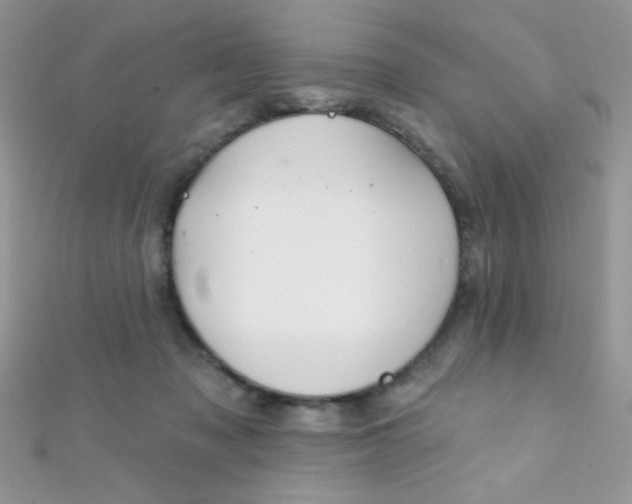X0000112390317200909032019