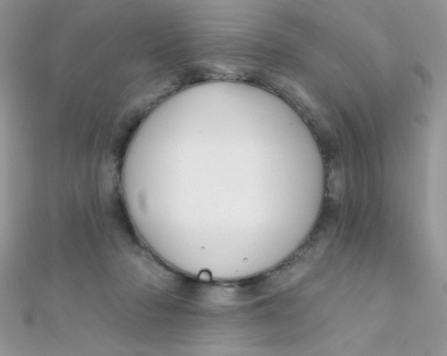 X0000112390318200909032019