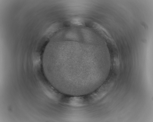 X0000112390320200909032019
