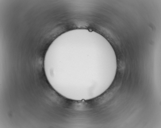 X0000112390321200909032019