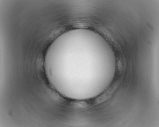 X0000112390322200909032019