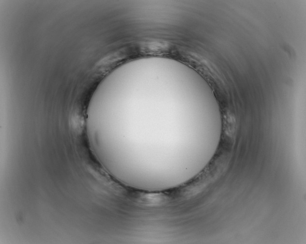 X0000112390324200909032019