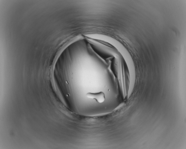 X0000112390325200909032019