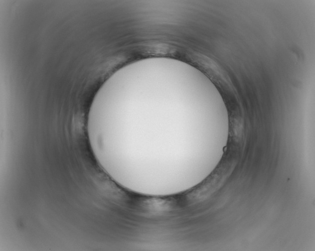 X0000112390326200909032019