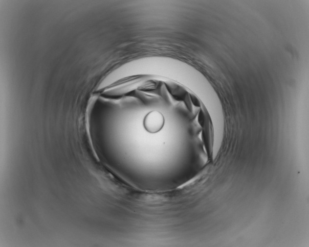 X0000112390327200909032019