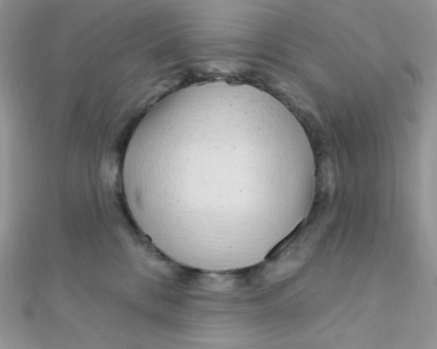X0000112390328200909032019