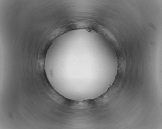 X0000112390329200909032019