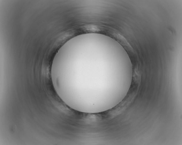 X0000112390330200909032019
