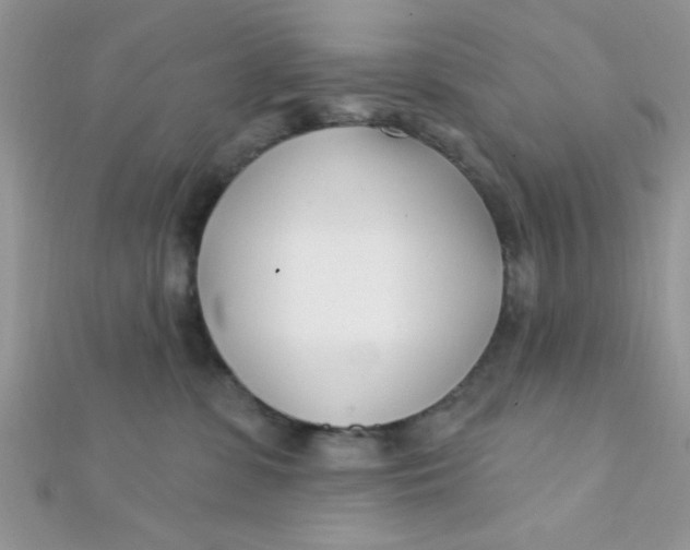 X0000112390331200909032019