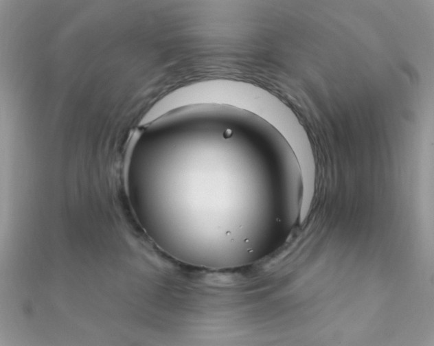 X0000112390332200909032019