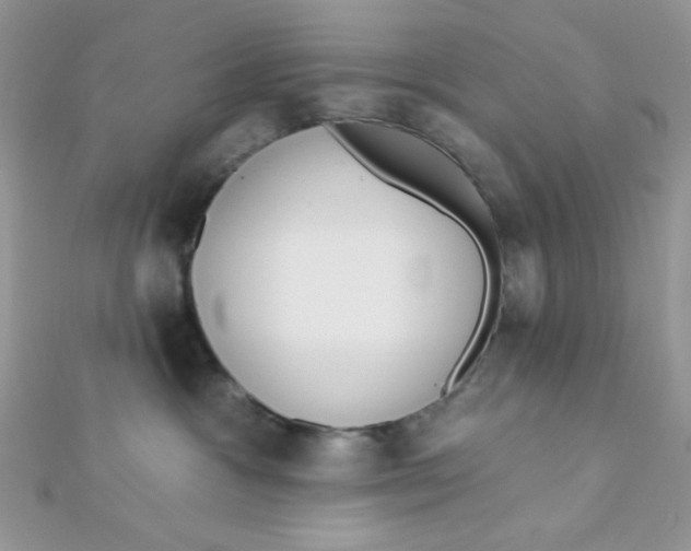 X0000112390333200909032019