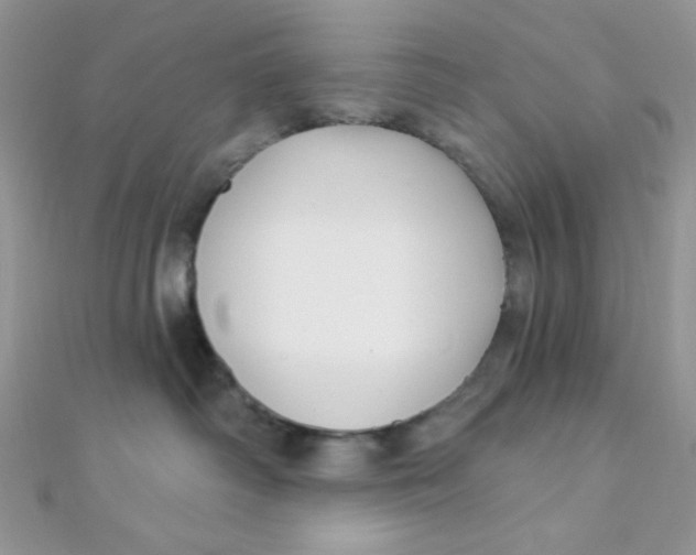 X0000112390334200909032019