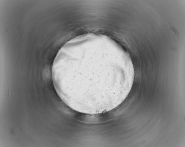 X0000112390335200909032019