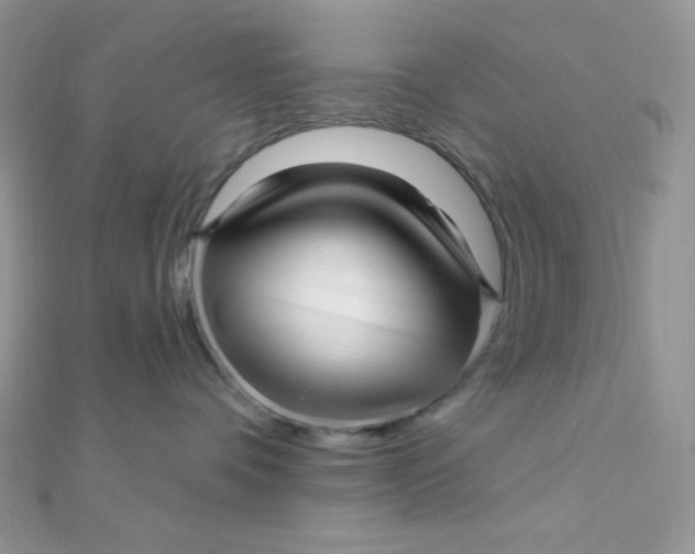 X0000112390336200909032019