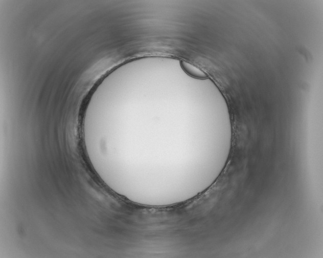 X0000112390338200909032018