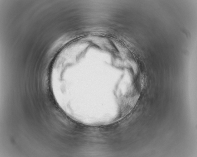 X0000112390339200909032018