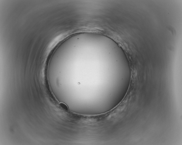 X0000112390340200909032018